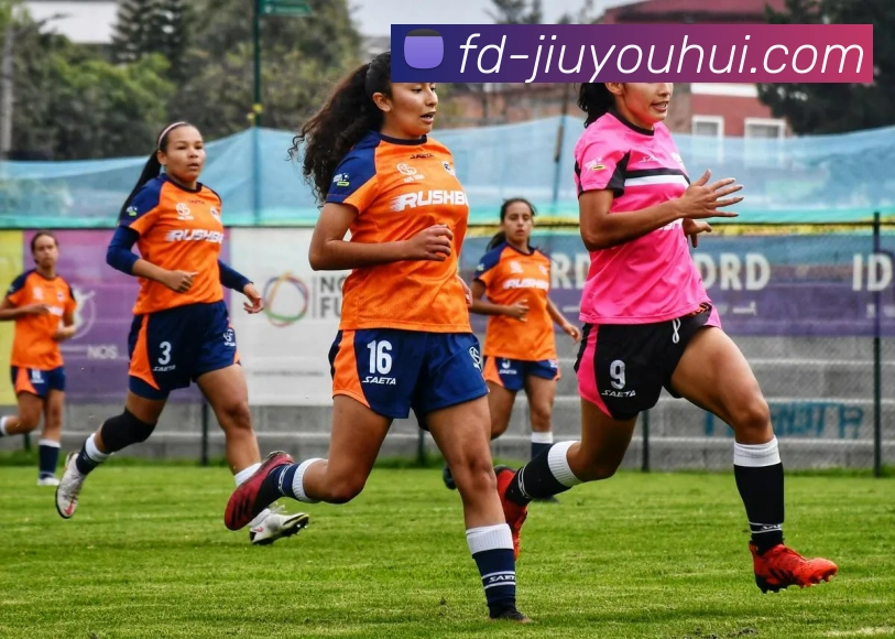 九游会官网APP 封面图